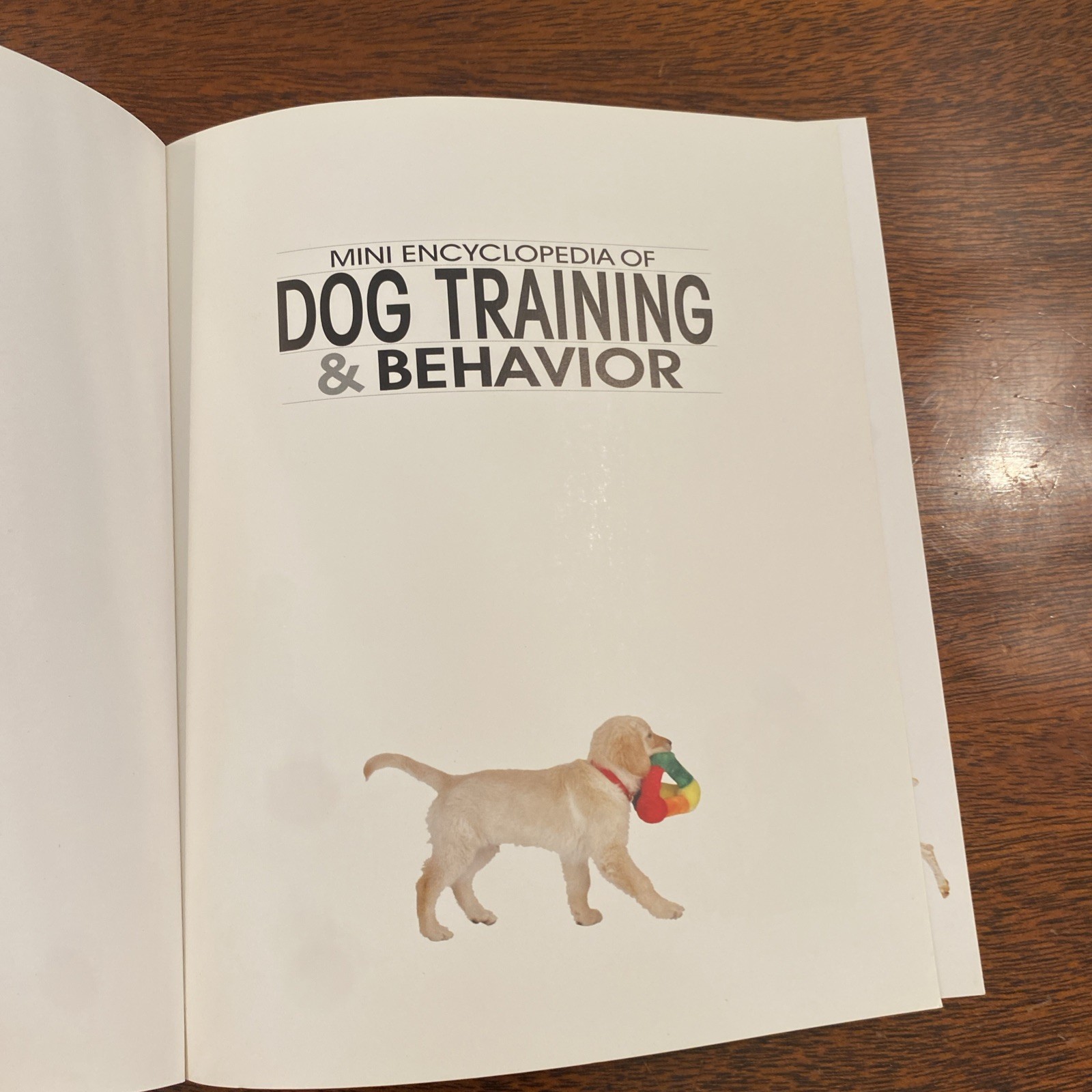 Dog Training & Behavior (Mini Encyclopedia Ser.) – Paperback – VERY GOOD