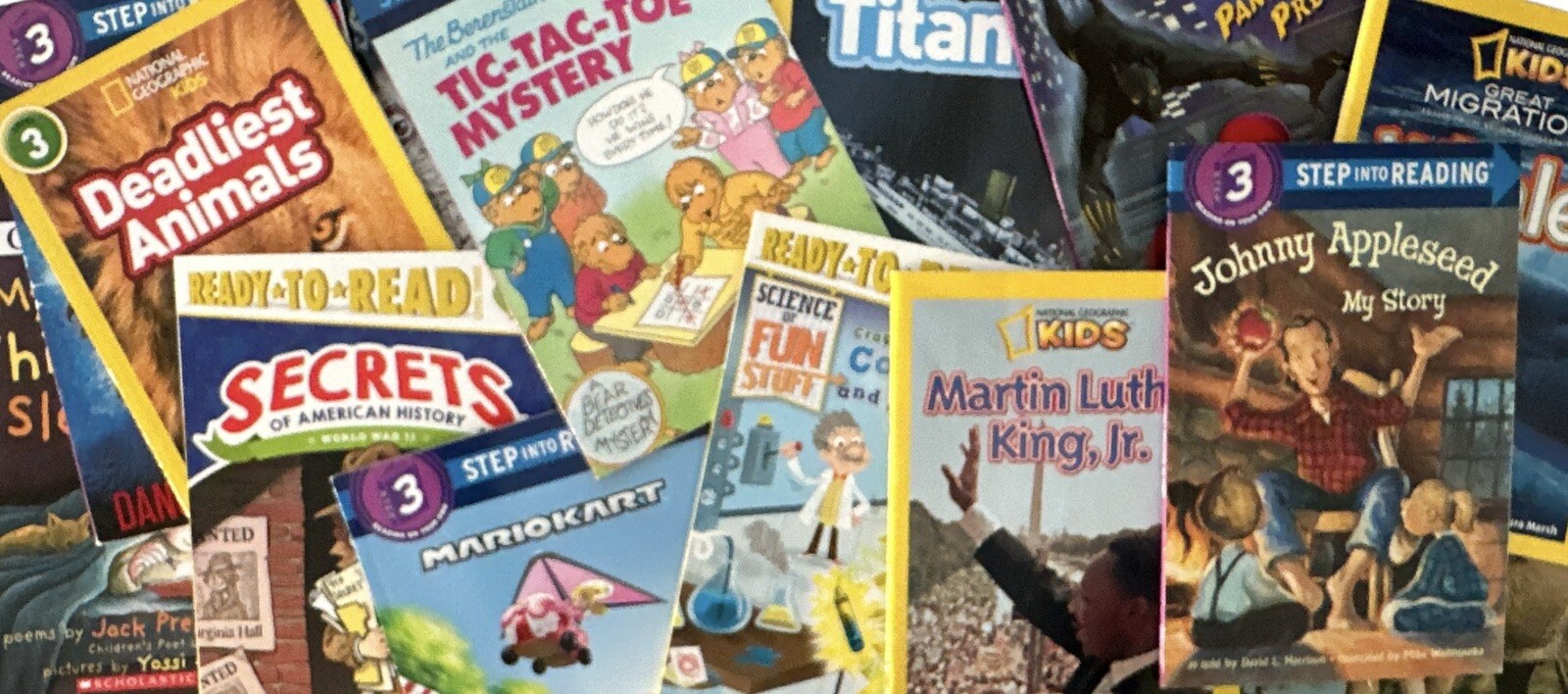 BOYS’ Random Book Lot of 10 Level 3 Step Into Reading, I Can Read, DK – GREAT!