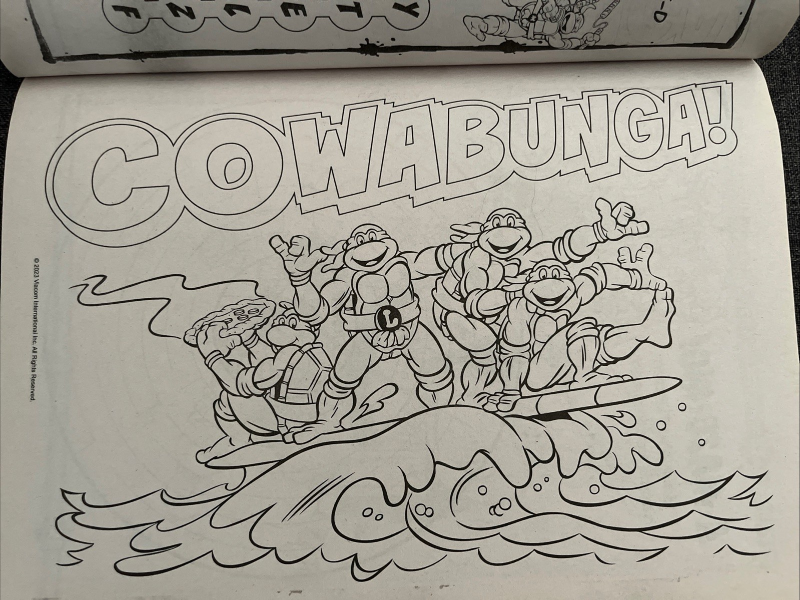 Teenage Mutant Ninja Turtles Coloring And Activity Book TMNT Heroes Nickelodeon