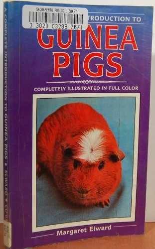 Guinea Pigs a Complete Introduction – Paperback, by Elward Margaret – Very Good