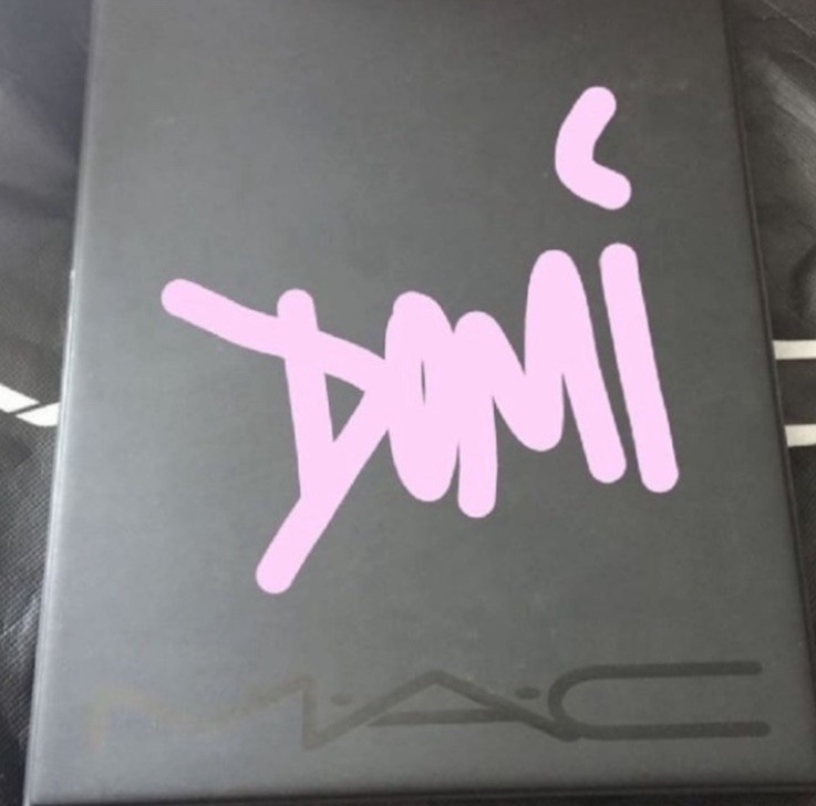 MAC COSMETICS Black Plastic Makeup ARTIST RARE BOOK & Clear Plastic Sleeves