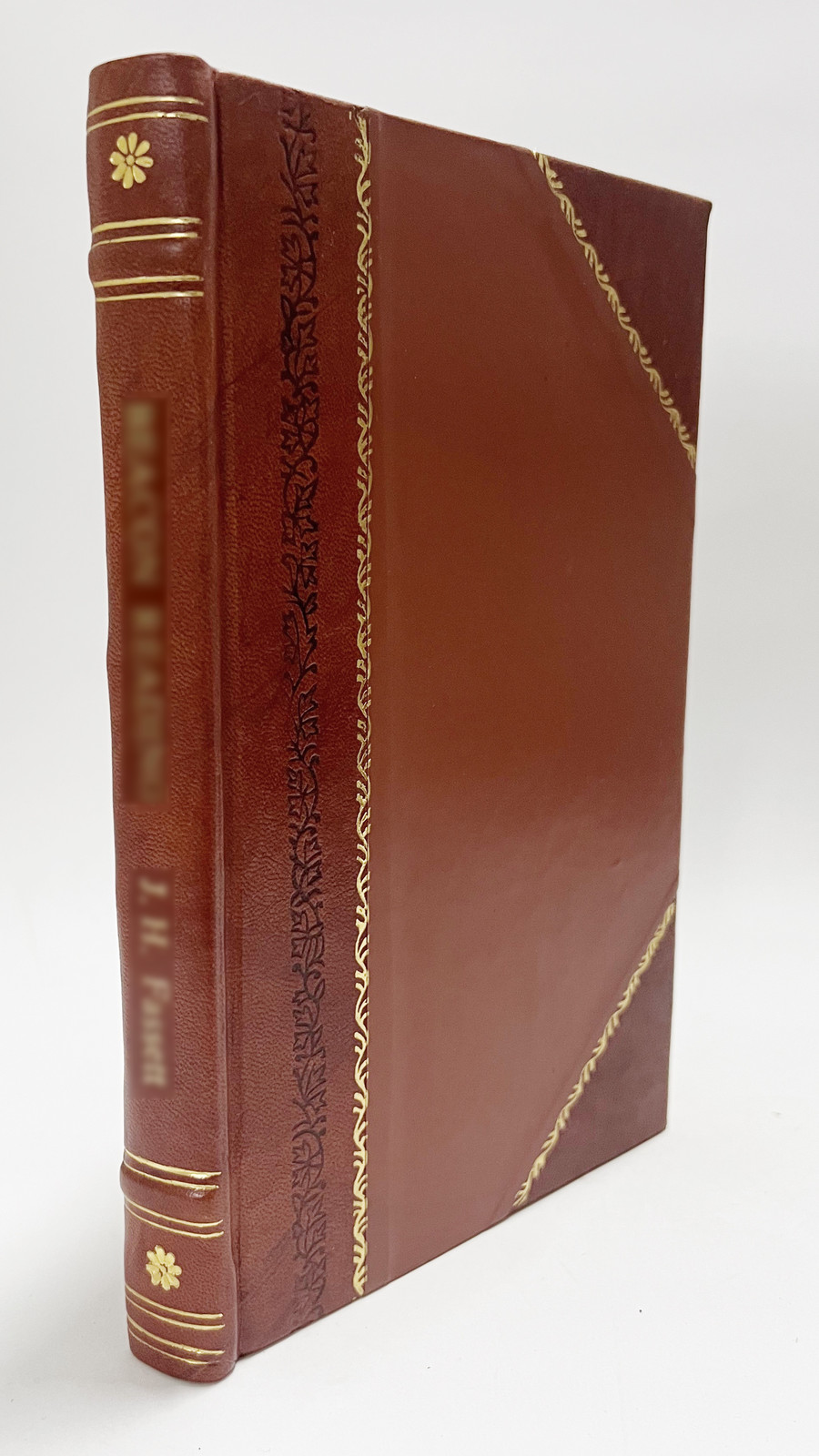 Die Grenzen Der Geschichte(1904) [Leather Bound]