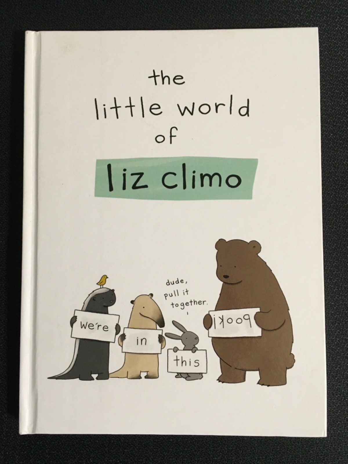 The Little World of LIZ CLIMO Animal Comics Art Humor 2014 Hardcover NEW QikShip