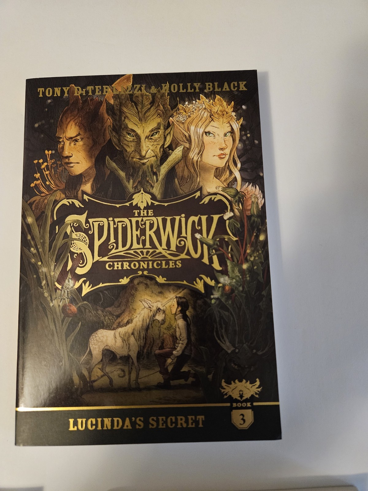 The Spiderwick Chronicles Book Set #1 Thru #5 (Read Description)