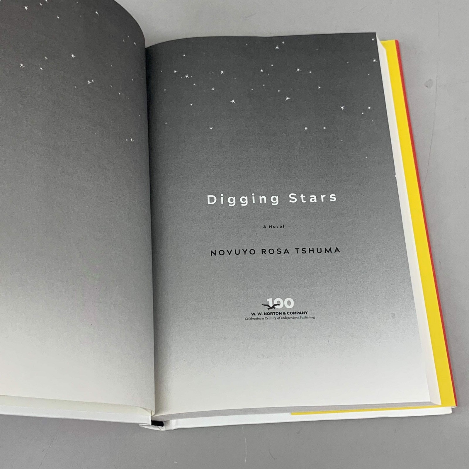 NORTON Novuyo Rosa Tshuma Digging Starts 288 Pages