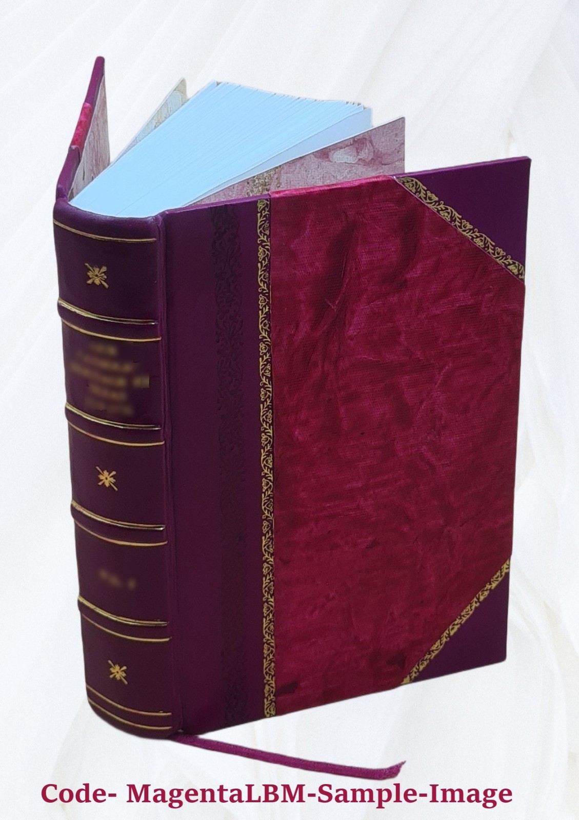 One hundred years of progress 1895 [Leather Bound]