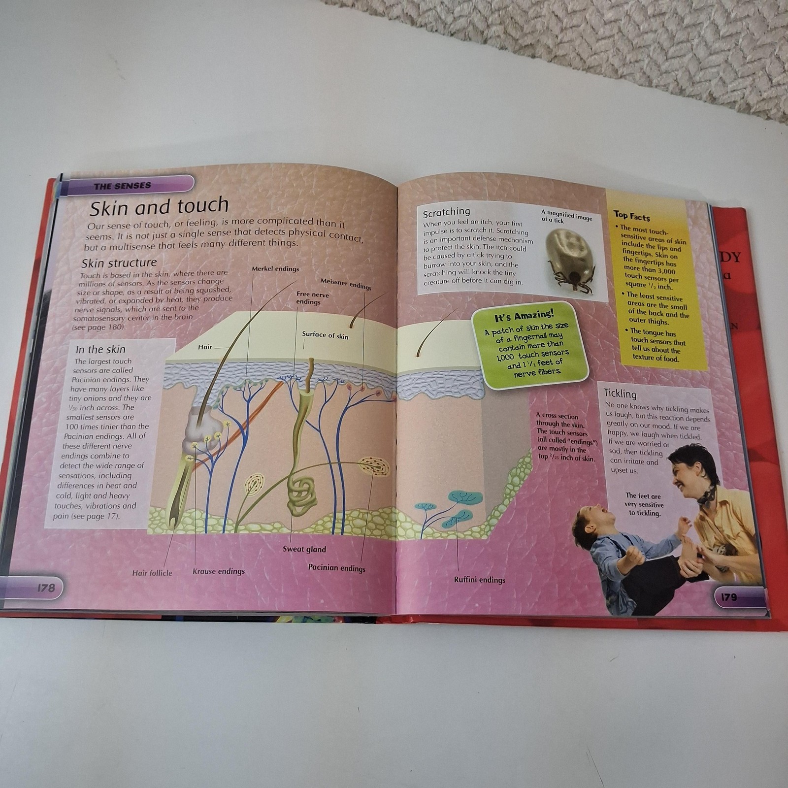 Children’s Human Body Encyclopedia Steve Parker Kids Science Book Hardcover