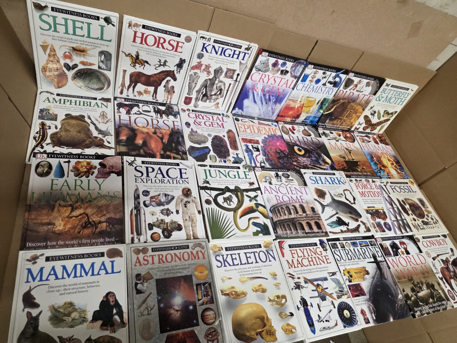 Lot of 10 DK Eyewitness Books Science History Art Animals Homeschool RANDOM Set