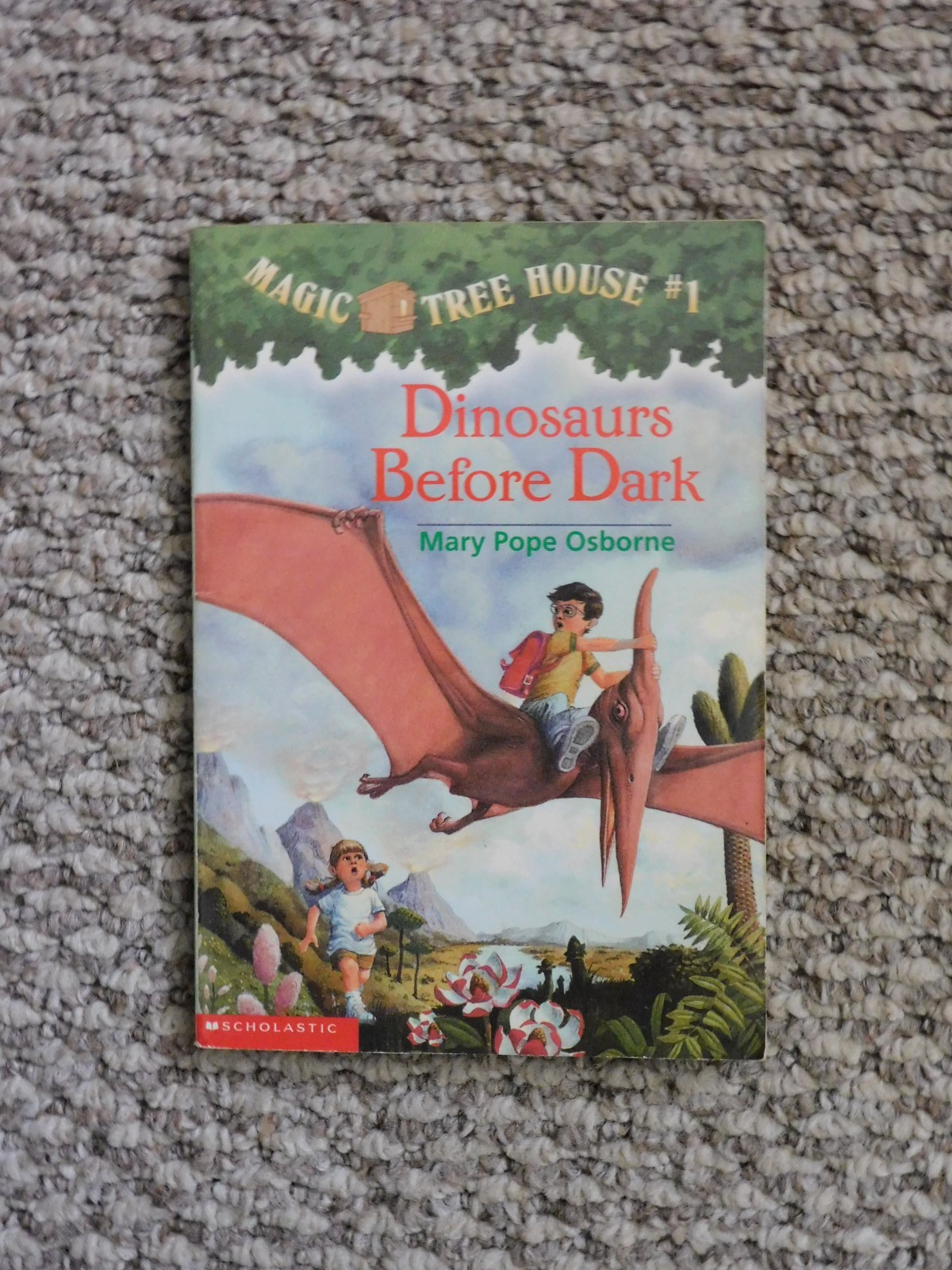 Lot of various Individual Magic Tree House Books: Mixed Publishers