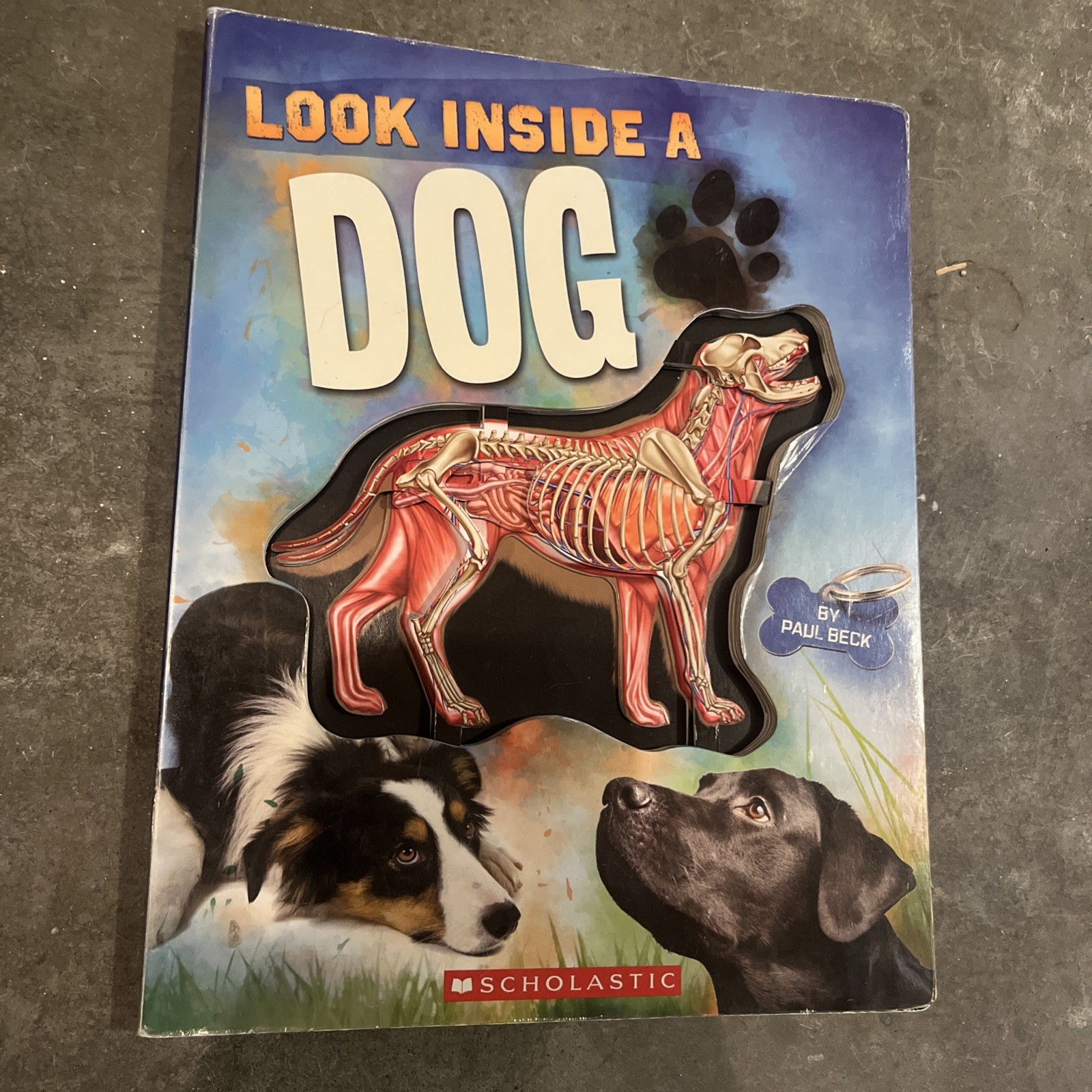 Look Inside a Dog Paul Beck