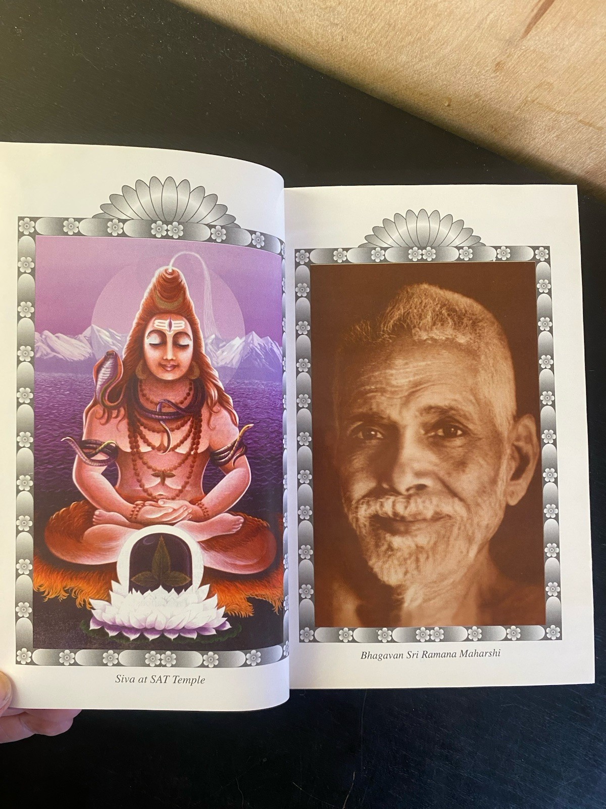 The Ribhu Gita: First English Translation from the Original Sanskrit HC