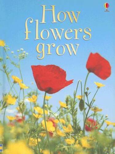 How Flowers Grow (Usborne Beginners, Level 1) – Hardcover – VERY GOOD