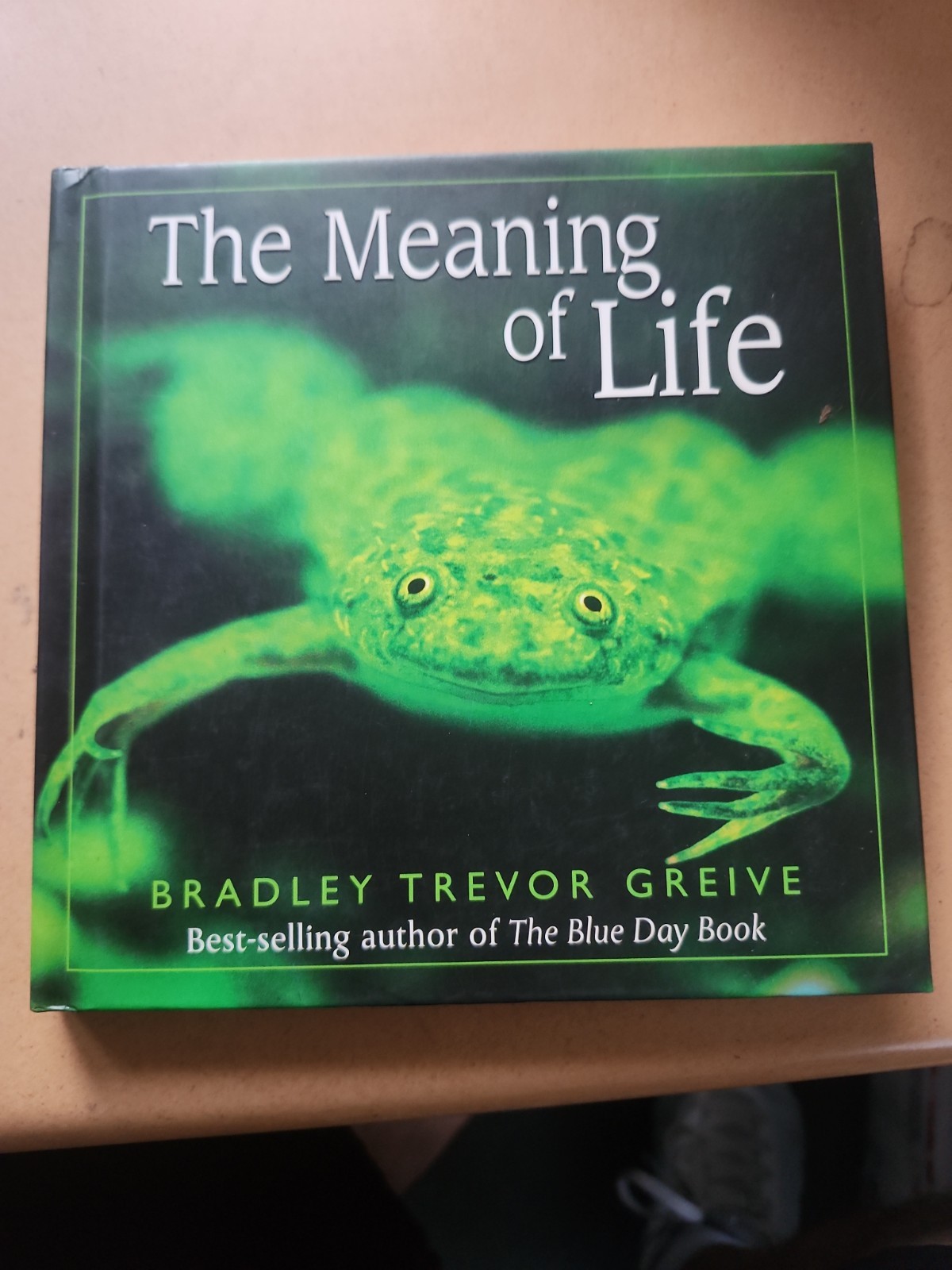 The Meaning Of Life By Bradley Trevor Greive Hallmark Gift Books 2002