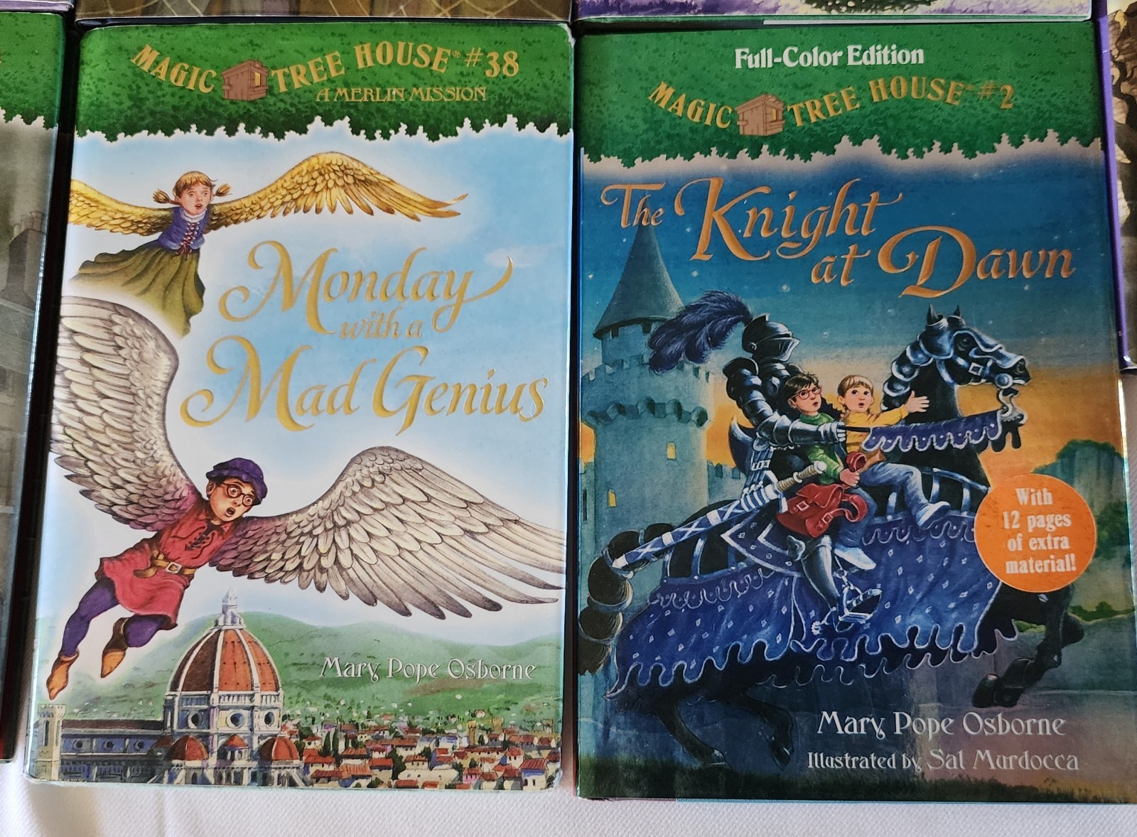 14 MAGIC TREE HOUSE chapter Books Dragon Ghosts Magicians Osborne HARDCOVERS C8