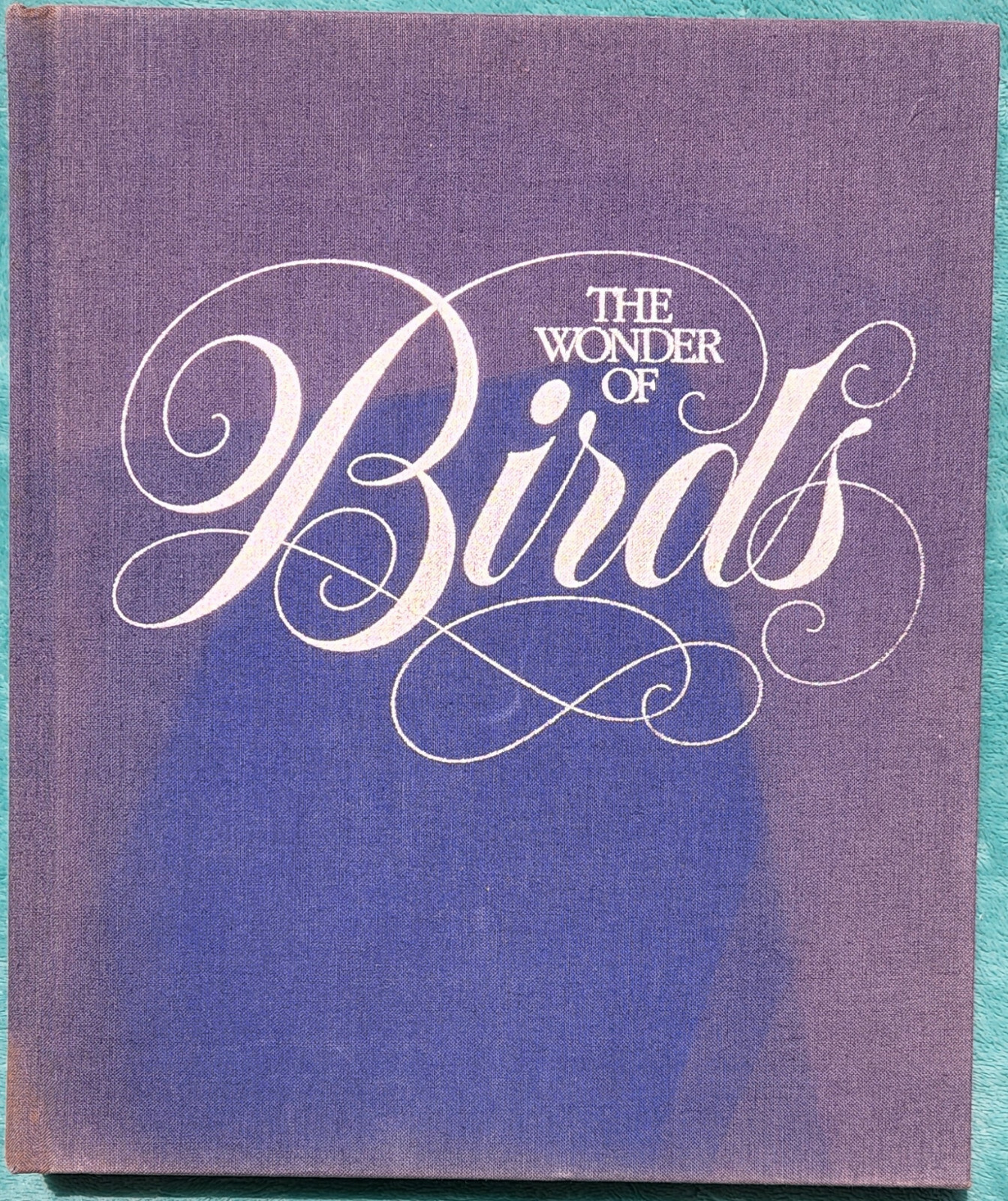 The Wonder of Birds Robert M. Poole 1983 Hardcover 280 Pages Of Amazing Birds