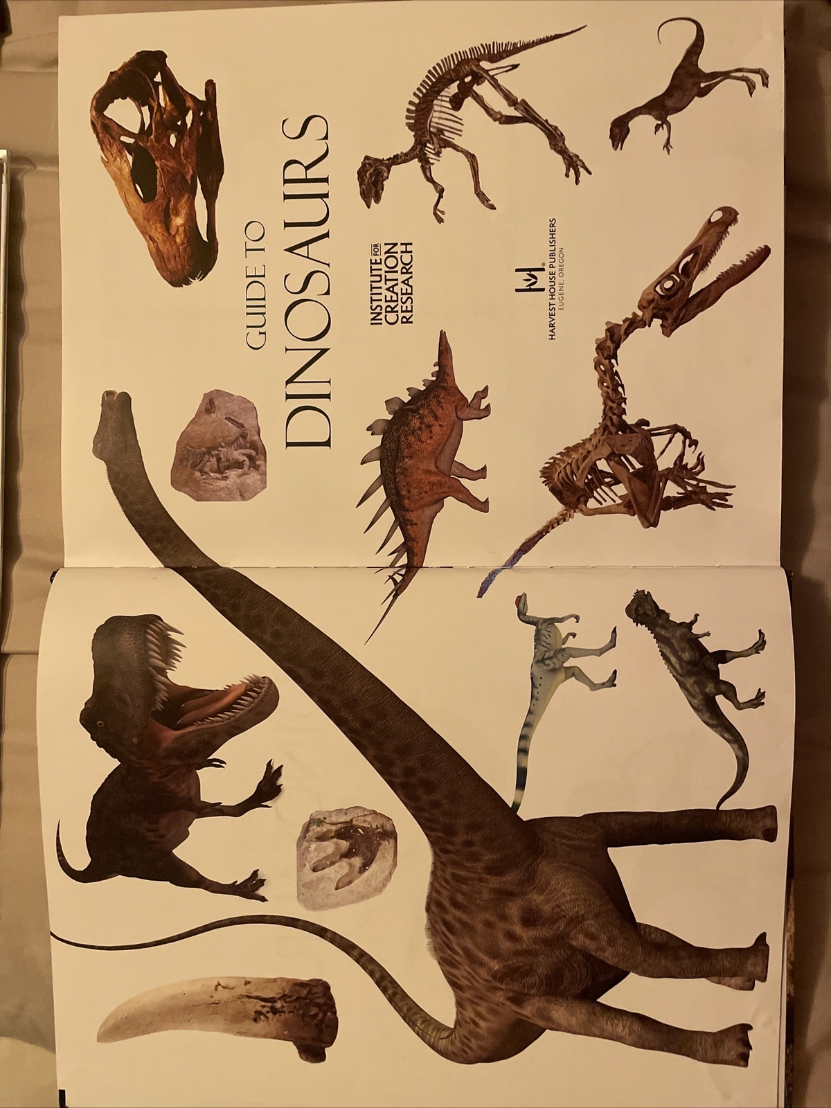 Guide to Dinosaurs