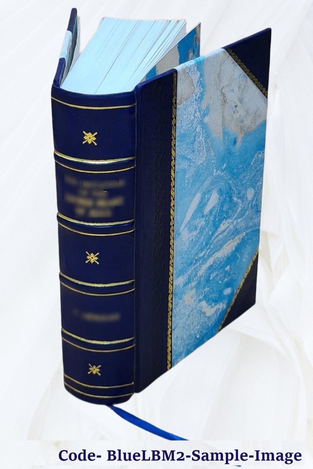 Die Petrefactenkunde auf ihrem jetzigen Standpunkte durch die Be [Leather Bound]