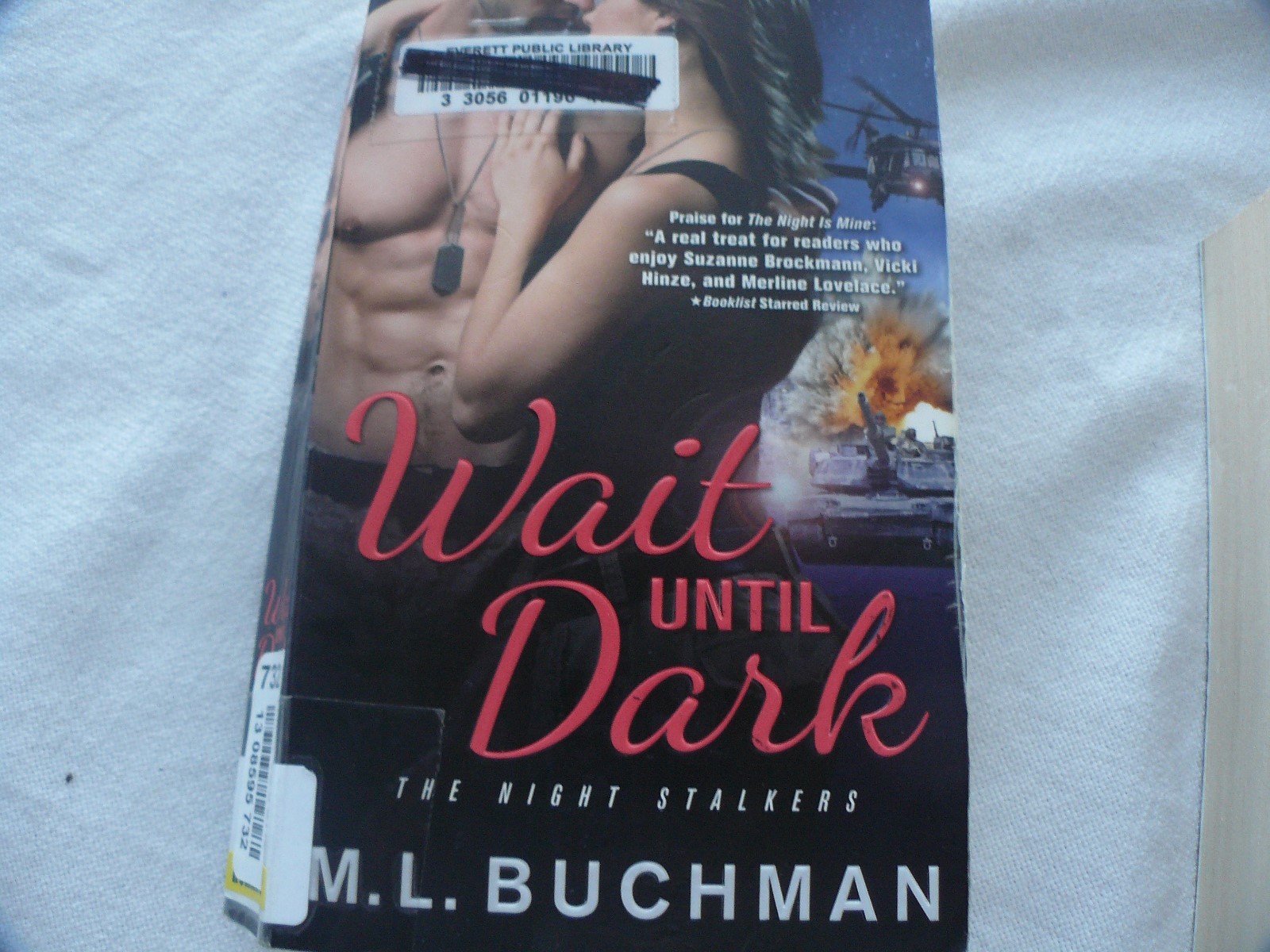 Wait Until Dark by M.L. Buchman #1256