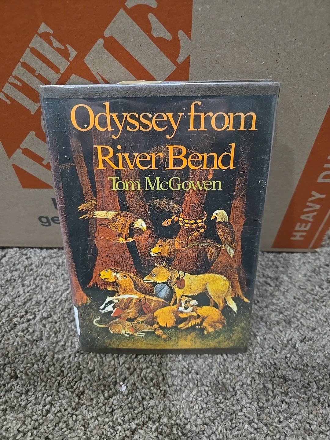 Vintage Odyssey from River Bend Hardcover Children’s Book – Tom McGowen 1975