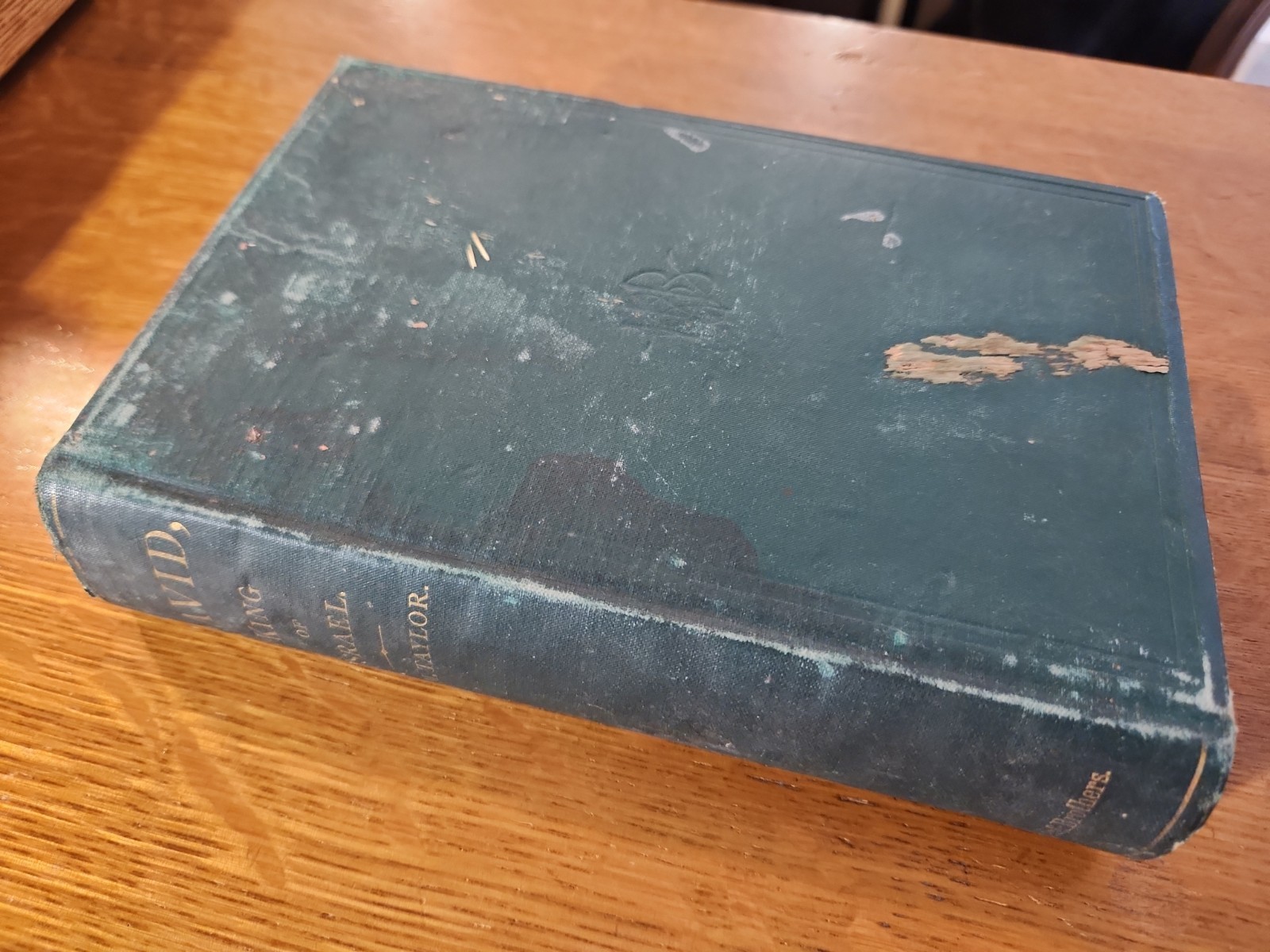 David King of Israel, William M. Taylor, HC 1875, Antique Bible History Book