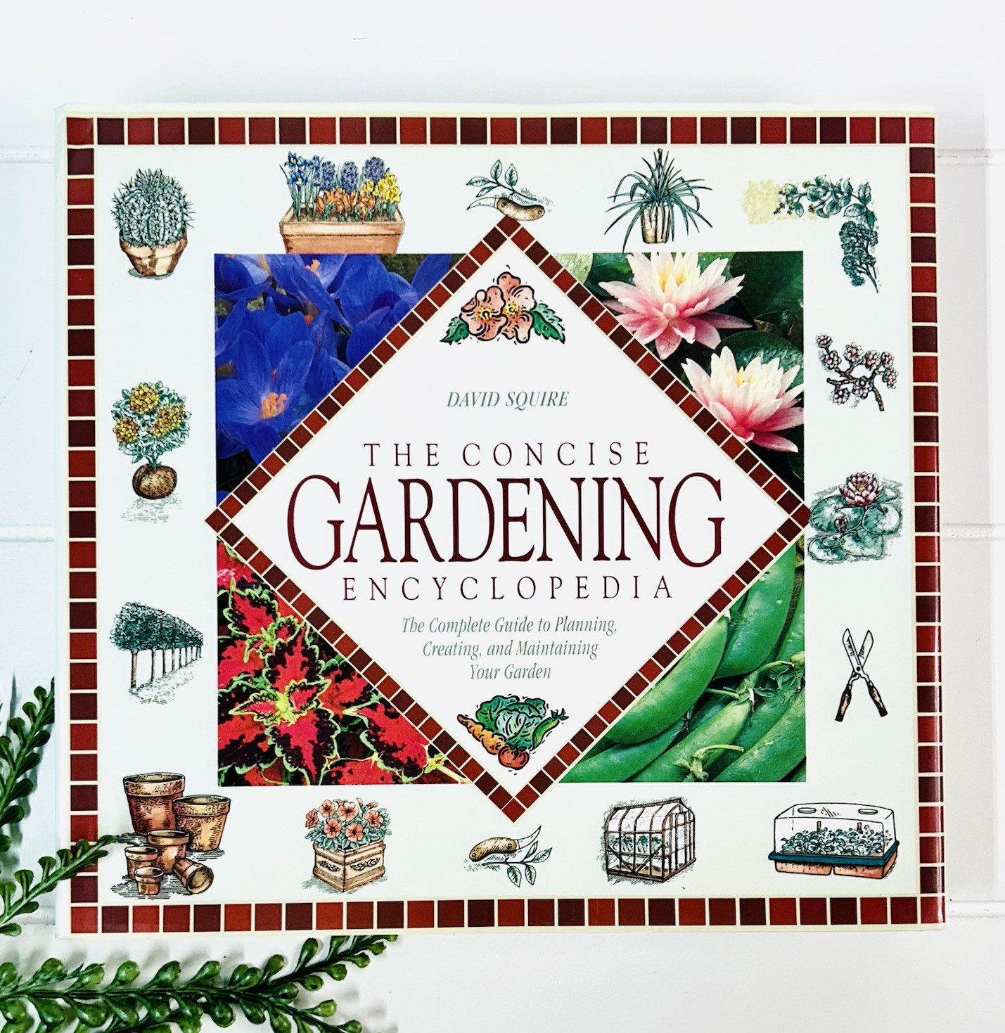 The Concise Gardening Encyclopedia ~ David Squire Flowers Roses Shrubs Trees HC