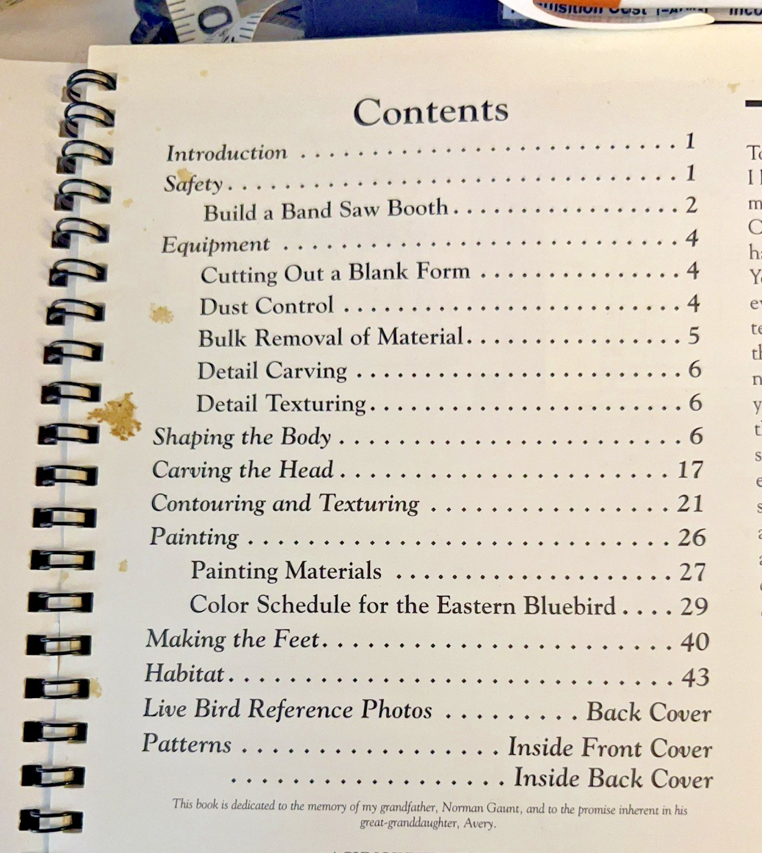 Wildfowl Carving Mag Workbench Projects “Eastern Bluebird” by Laura Lucio, 2002