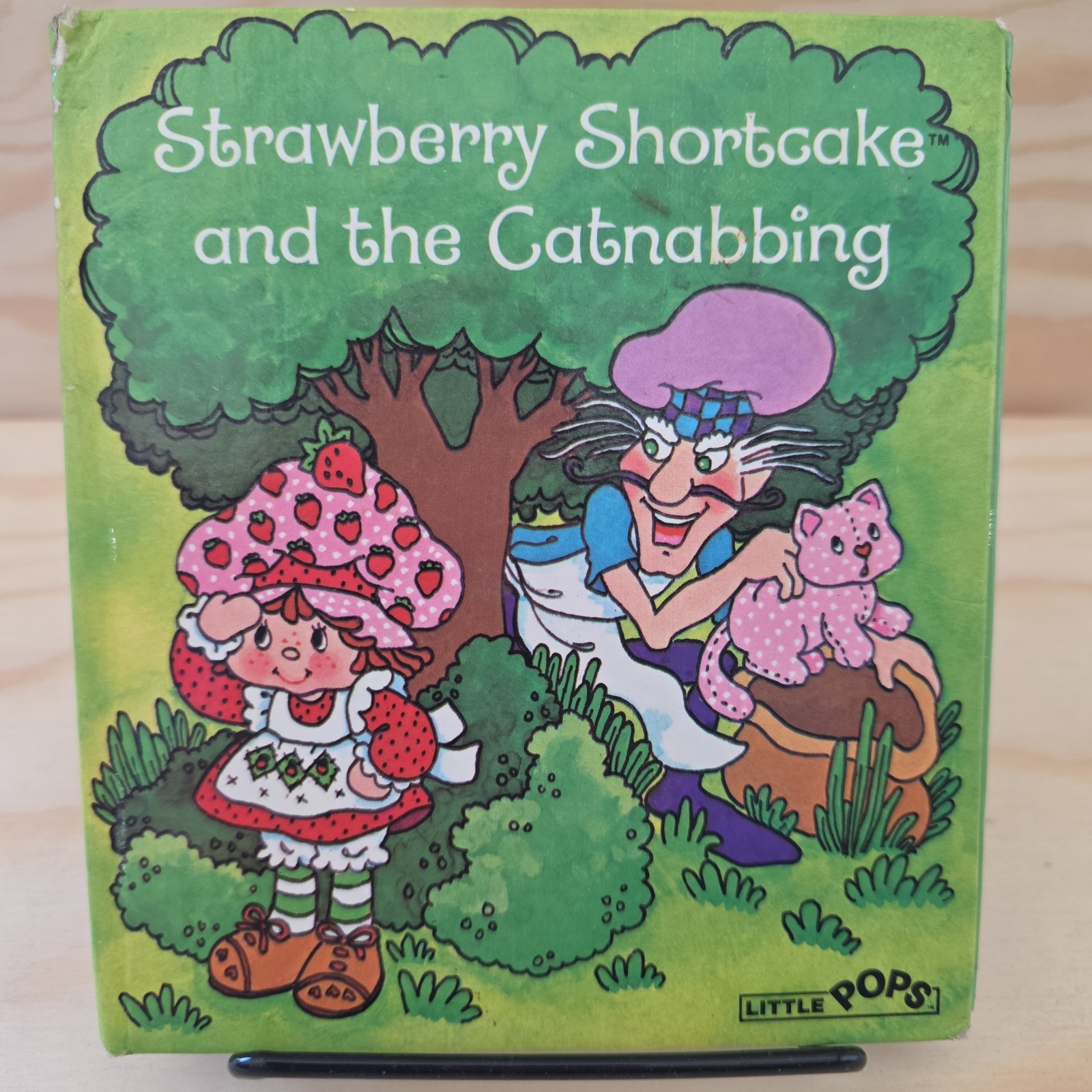 Vintage Strawberry Shortcake & The Catnabbing Pop-Up Book 1982 hardcover