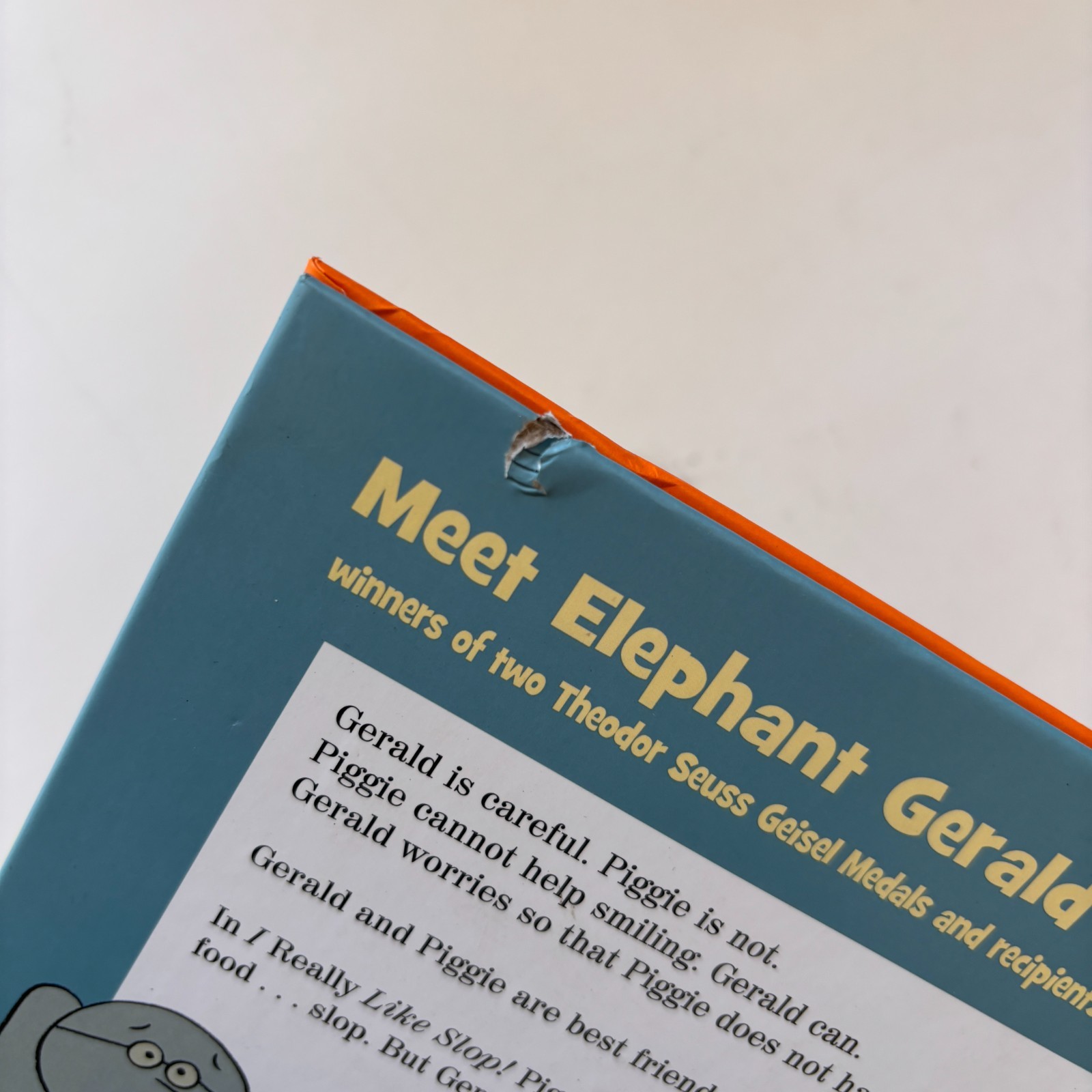 Mo Willems Elephant & Piggie Book Lot ~ 21 Books ~