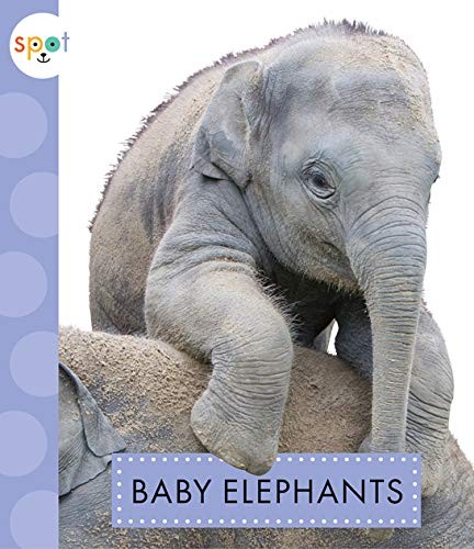 Amicus Ink 43433 Baby Elephants Spot