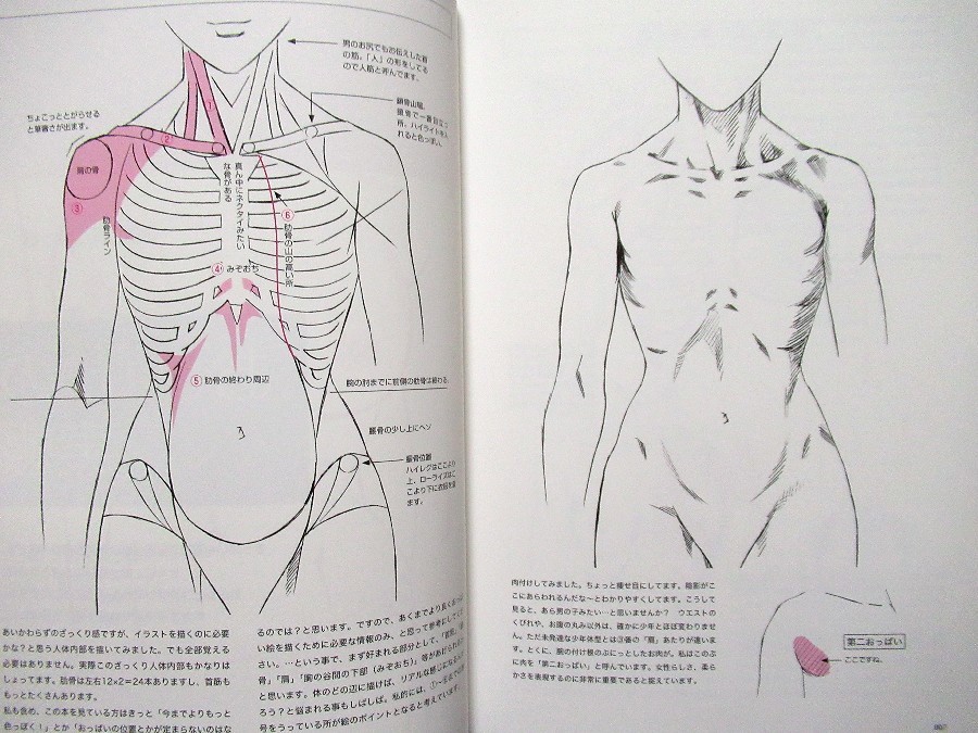 How to Draw Manga Woman’s Breast /Japanese Anime Drawing Illustrations Art Book