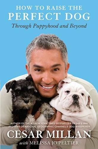How to Raise the Perfect Dog: Through Puppyhood and Beyond – Hardcover – GOOD