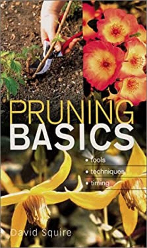 Pruning Basics : Tools, Techniques, Timing Paperback David Squire