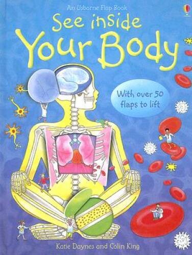 See Inside Your Body – Board book By Daynes, Katie – VERY GOOD