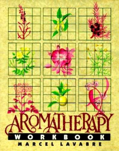 The Aromatherapy Workbook – Paperback By Lavabre, Marcel – GOOD