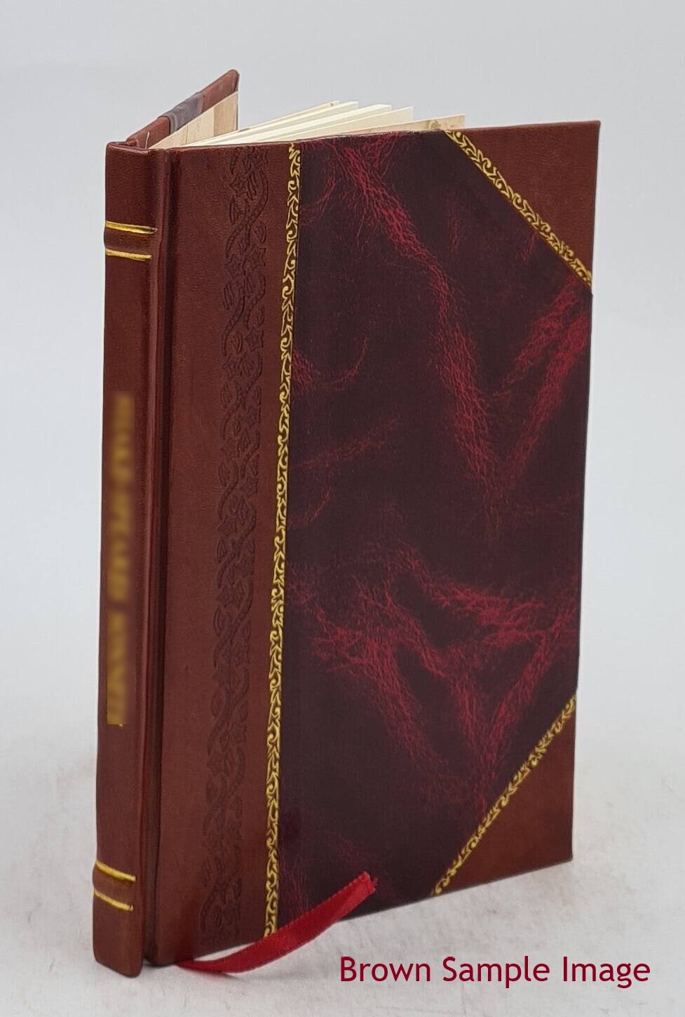Northern Polypores 1914 By William A. Murrill [Leather Bound]