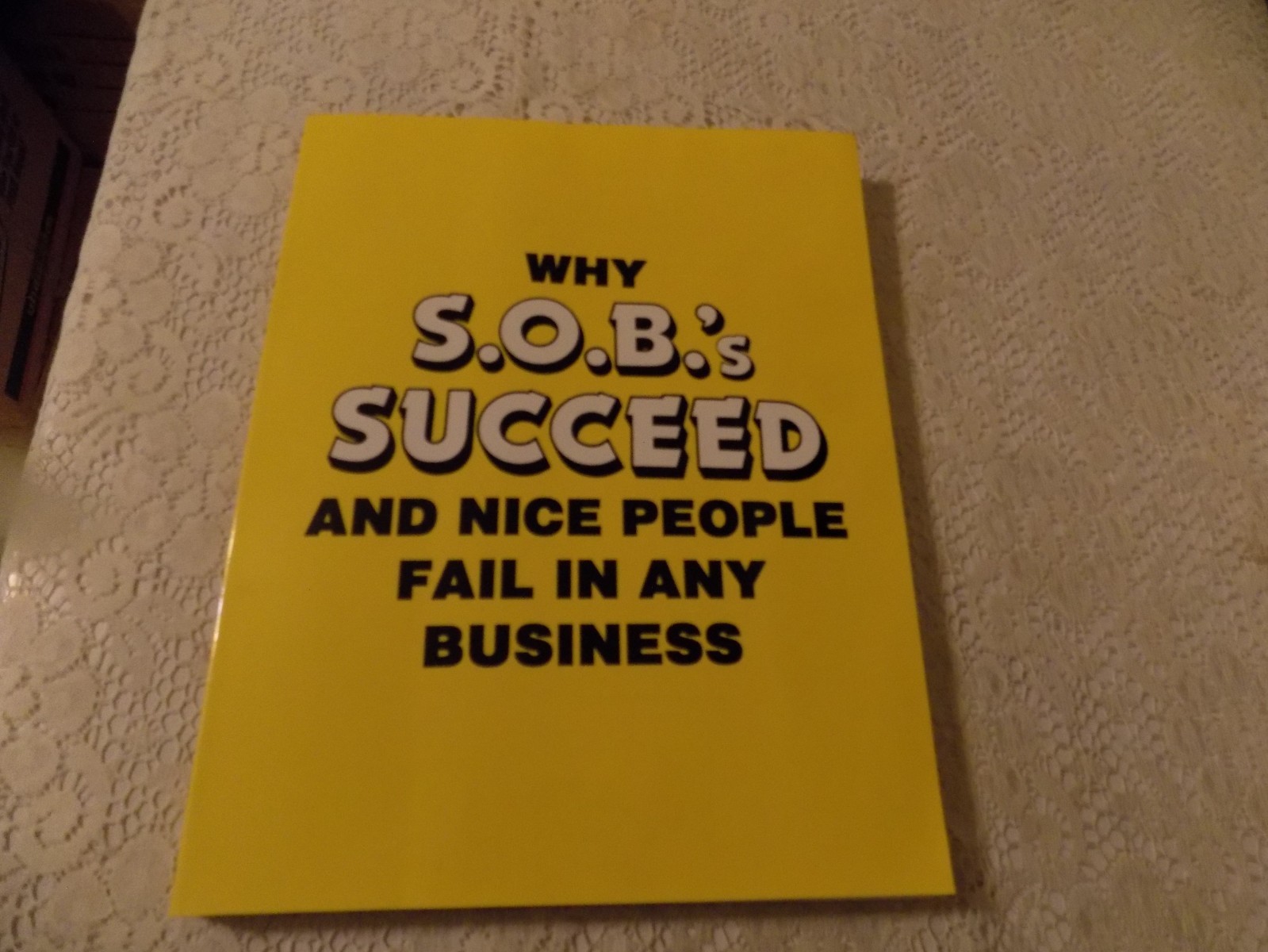Why SOBs Succeed & Nice Guys Fail in Small Business Startup Manual Bob Morrison