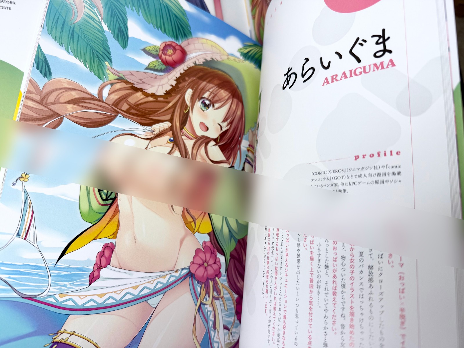 Oppai-dou Complete Set of 4 Anime Art Books O.P.D Final Gold Kiwami Illustration