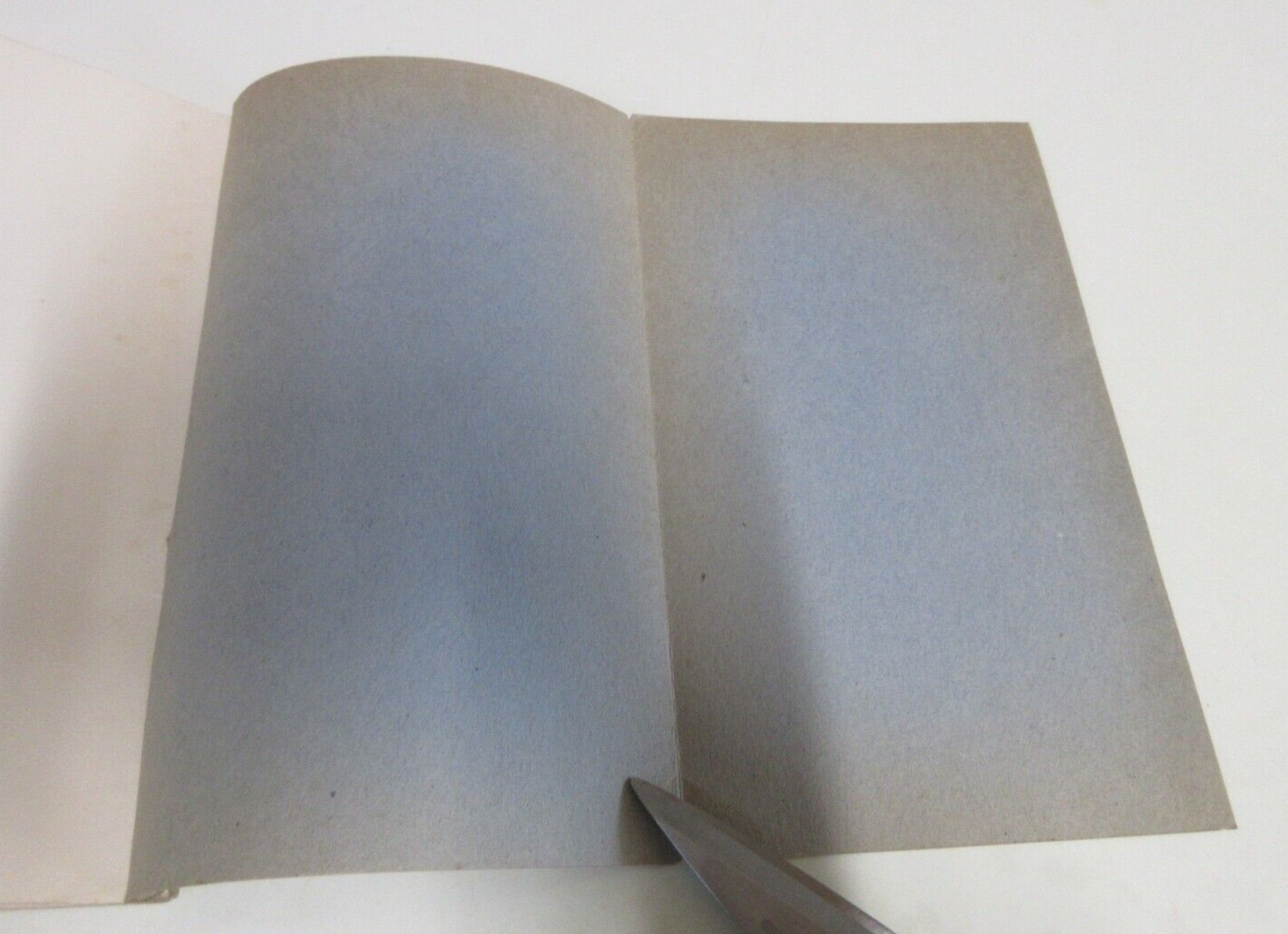 Economic Principles: Manual of Political Economy – Max Hirsch – 78 Pages – 1942