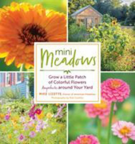 Mini Meadows Format: Paperback