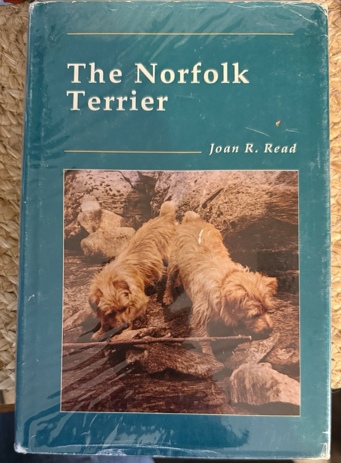 Norfolk Terrier by Joan R. Read (1989, Hardcover) First Edition GOOD Book