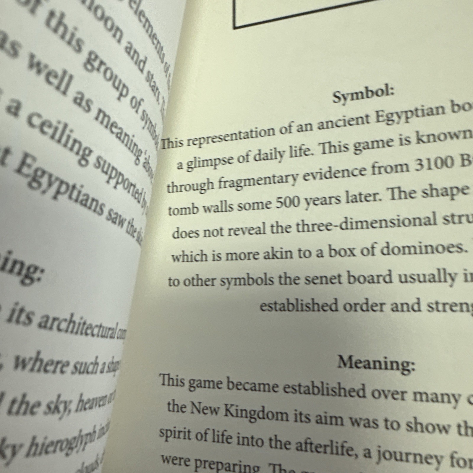 Ancient Egyptian Hieroglyphs Illustrated by Trevor Naylor 2025 Pr. Amber