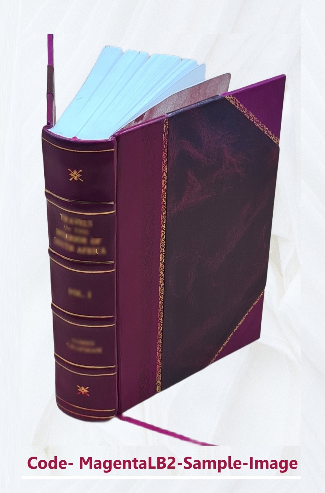 Buddhism Primitive And Present In Magadha And Ceylon 1908 [Leather Bound]