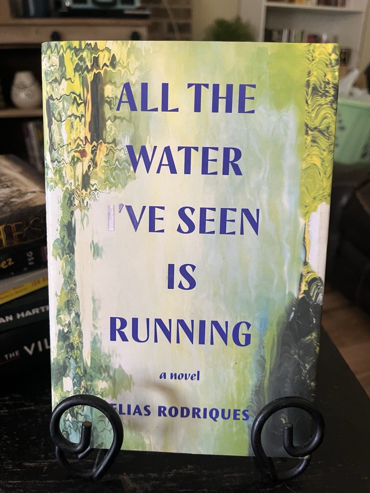 All the Water I’ve Seen Is Running By Elias Rodriquez Hardback Book