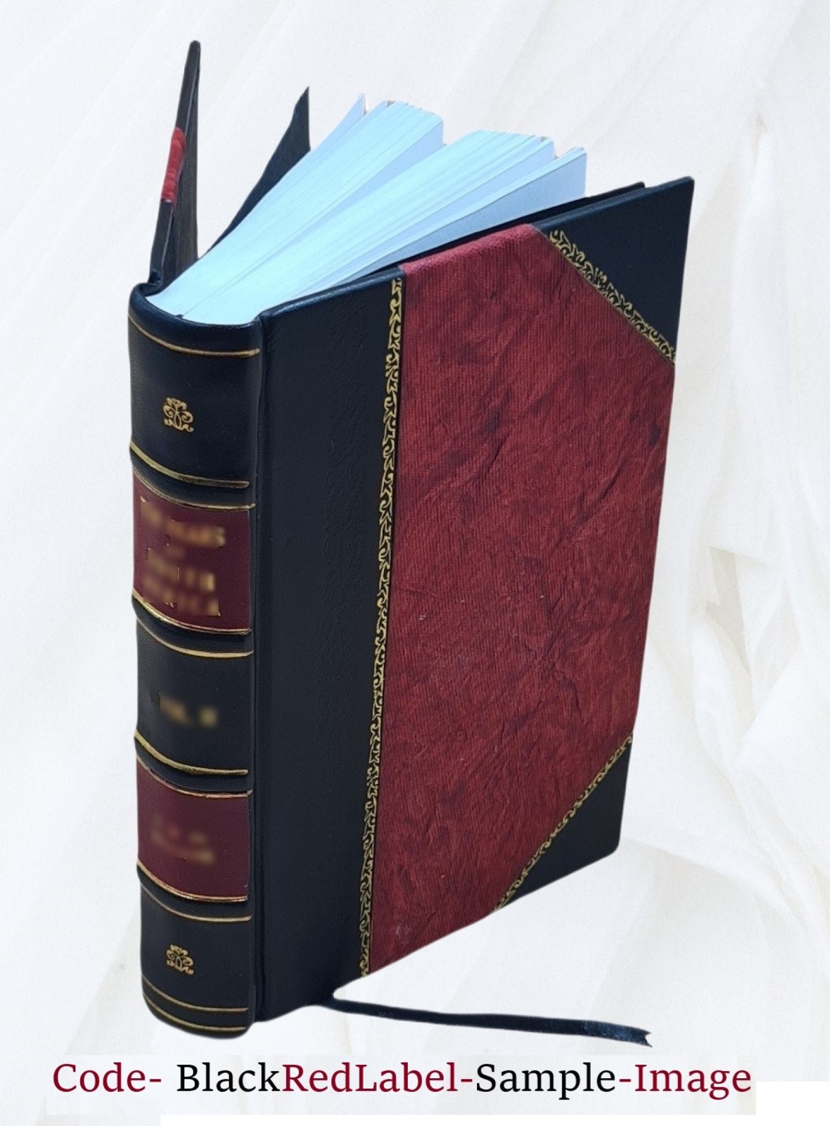 Teaching dull and retarded children, by Annie Dolman Inskeep … [Leather Bound]