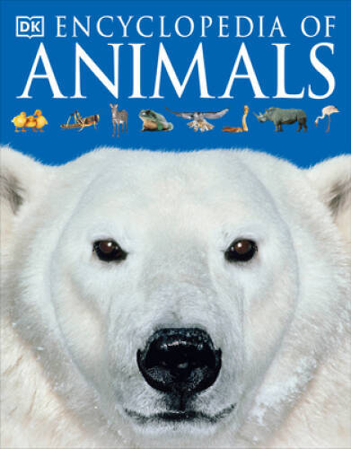 Encyclopedia of Animals – Paperback By DK – VERY GOOD