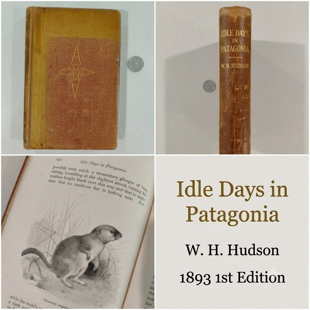 Idle Days in Patagonia W. H. Hudson 1893 1st Edition True First Chapman & Hall