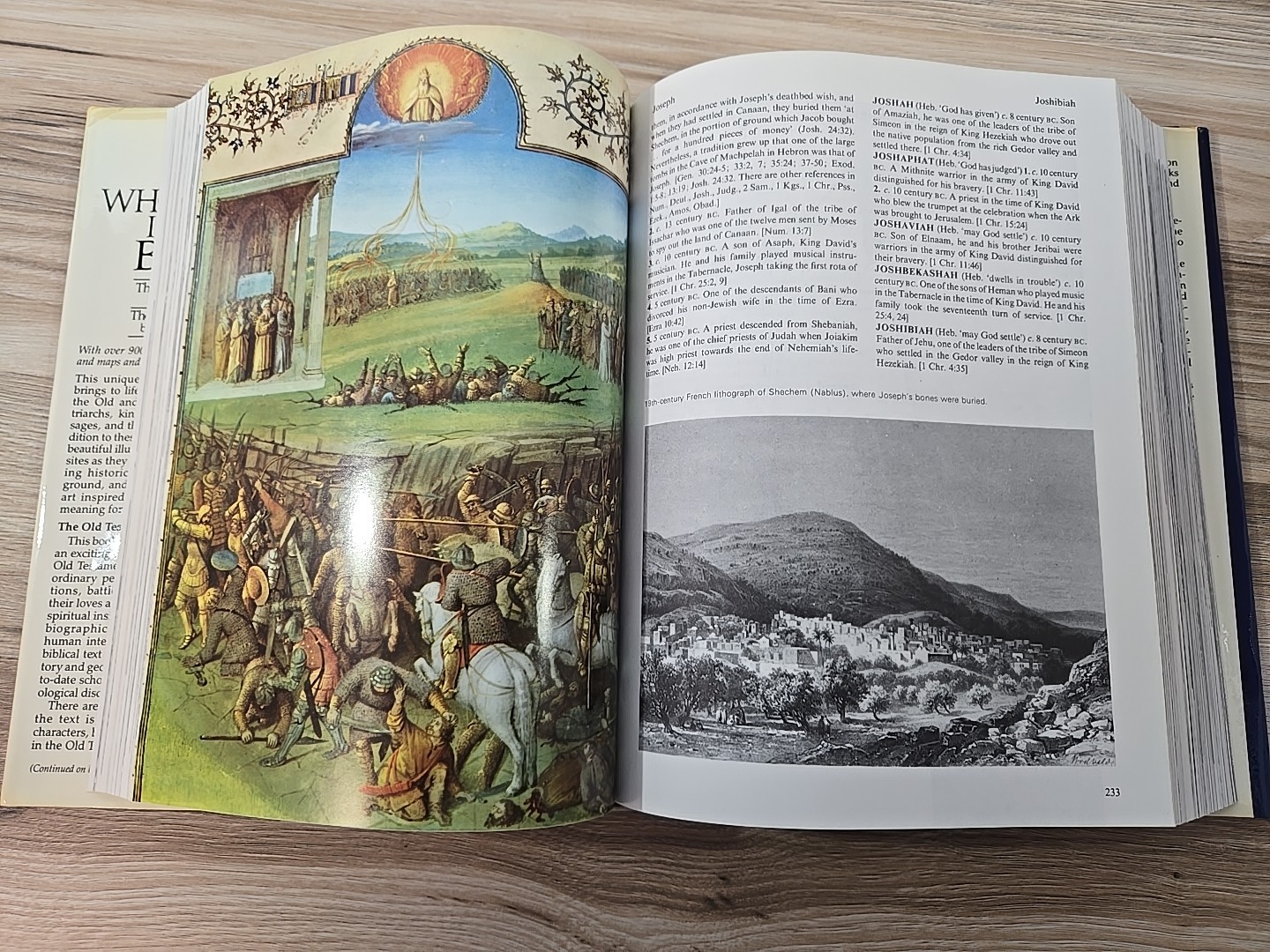 WHO’S WHO IN THE BIBLE Two vols in One Old And New Testament & Apocrypha HC 1980