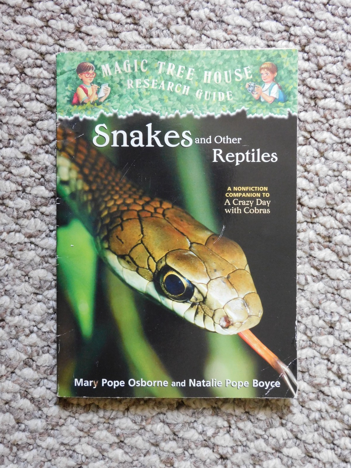 Lot of various Individual Magic Tree House Books: Mixed Publishers