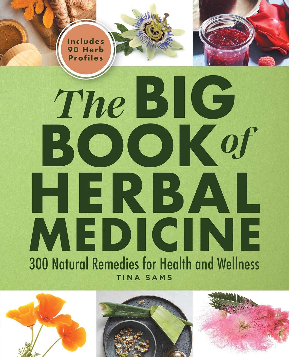 The Big Book of Herbal Medicine: 300 Natural Remedies for Health and W Paperback