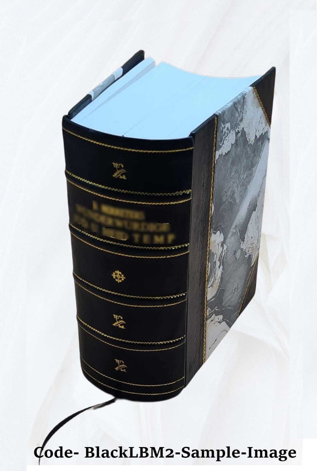 One hundred years of progress 1895 [Leather Bound]
